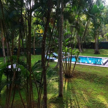 Chandra Villa Ayurveda Resort Bentota Exterior photo